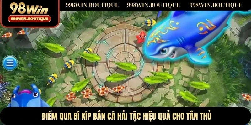 Điểm qua bí kíp bắn cá hải tặc hiệu quả cho tân thủ