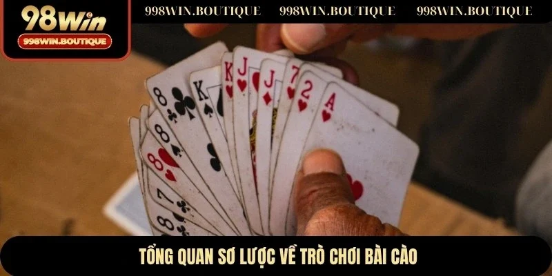 Tổng quan sơ lược về trò chơi bài cào