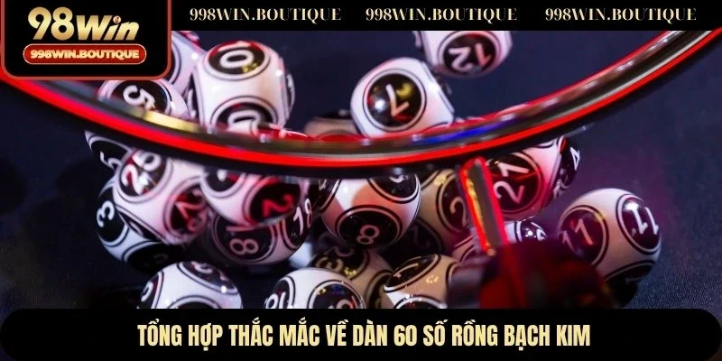 Tổng hợp thắc mắc về dàn 60 số rồng bạch kim