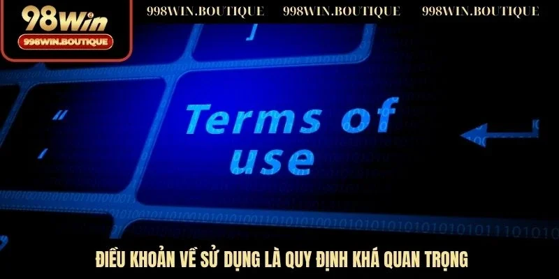 Điều khoản về sử dụng là quy định khá quan trọng