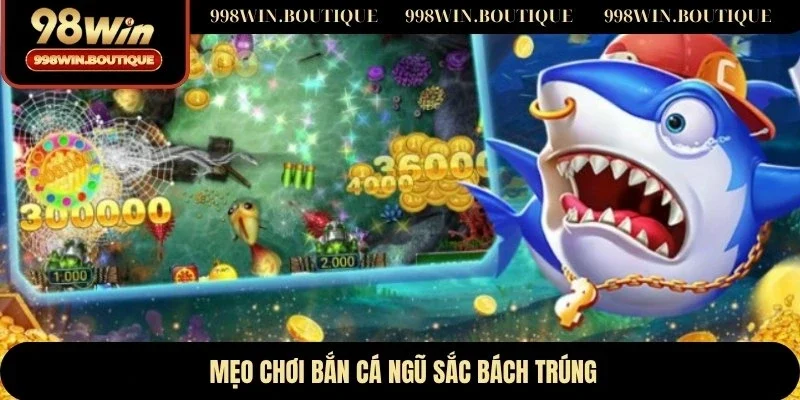 Mẹo chơi bắn cá ngũ sắc bách trúng